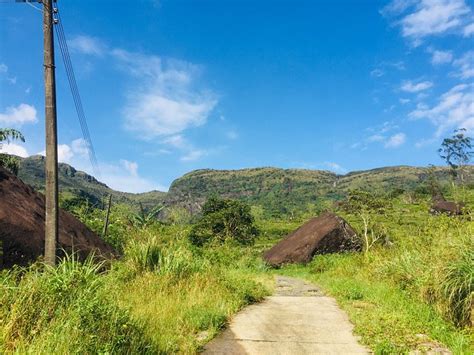 TREE HOUSE RANGALA (Elagolla) - B&B Reviews & Photos - Tripadvisor