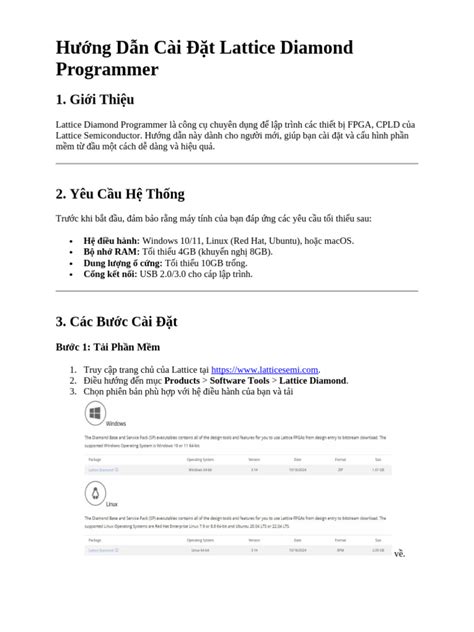 Image result for Diamond Programmer