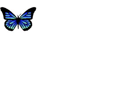 春天的蝴蝶,图片,gif动画 - 54动态图_GIF动态图 - 动态图库网