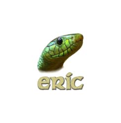 Image result for How to Start Eric Python IDE