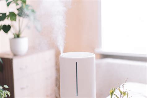 Cool Mist Vs. Warm Mist Humidifiers: Which to Choose and Why