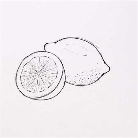 Image result for Simple Inside Lemon Drawing
