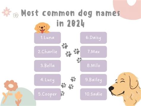 Image result for Most Common Dog Names