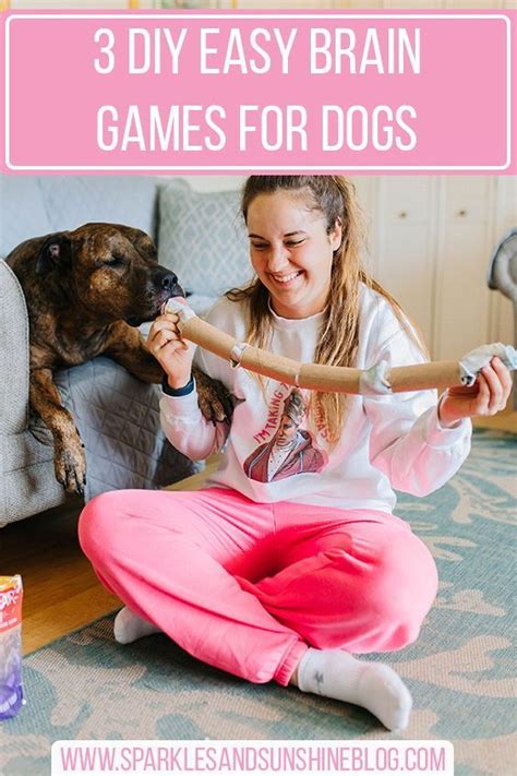 Image result for Homemade Interactive Games for Dogs