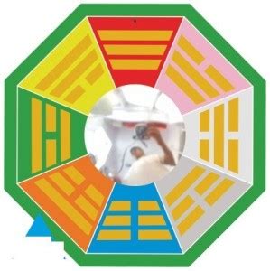 AccuAlleve Bagua Mirror for Vastu Feng Shui Convex Bagua Mirror ...