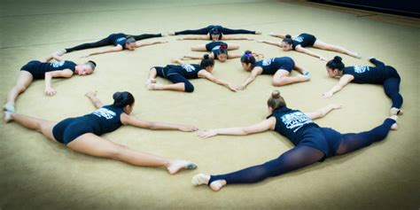 Flexibility Program 的图像结果