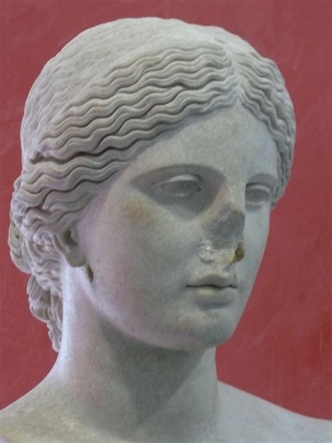 File:MD2A,PM13000356,buste Aphrodite.jpg - Wikimedia Commons