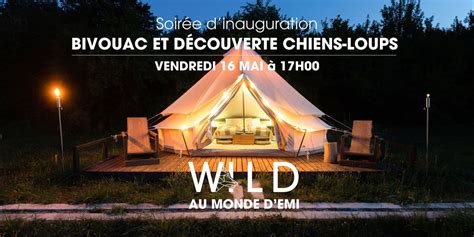 ? soiree dinauguration - bivouac & decouvertes chiens-loups ?, Le Monde ...