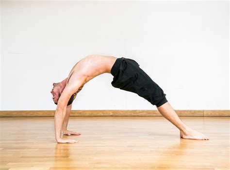 Image result for Gymnastics Bridge Variations