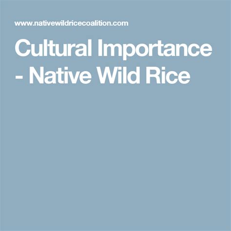 Native American Wild Rice Harvesting: Process & Importance