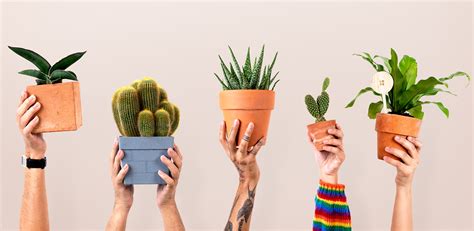 Internship Department of Forest and Wildlife