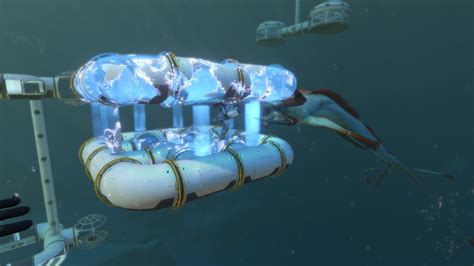 How Deep Can The Prawn Suit Go And Why It Matters In 2026