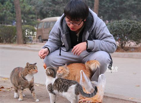 高清：大学男生喂养校园流浪猫 被赞爱心奶爸 - 青岛新闻网