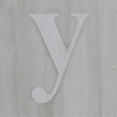 Image result for Y Is a Function of X Examples