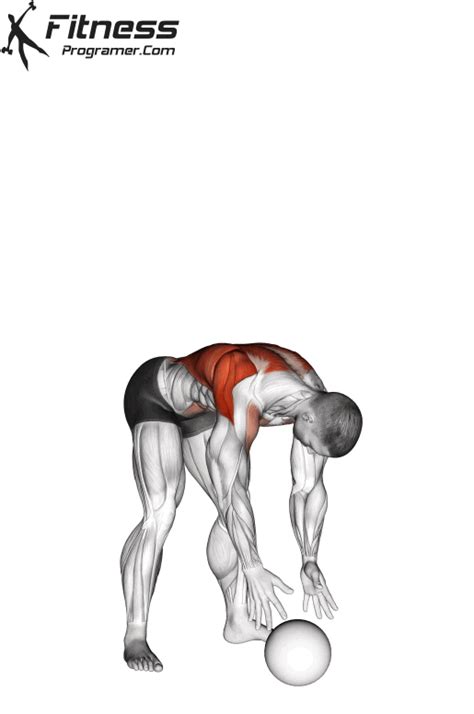 Image result for Strength Training Core Exercises