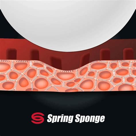 Butterfly Tenergy 05 Hard Table Tennis Rubber – Sportswing.in