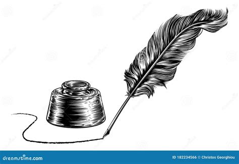 What Are Quill Feathers at John Regis blog