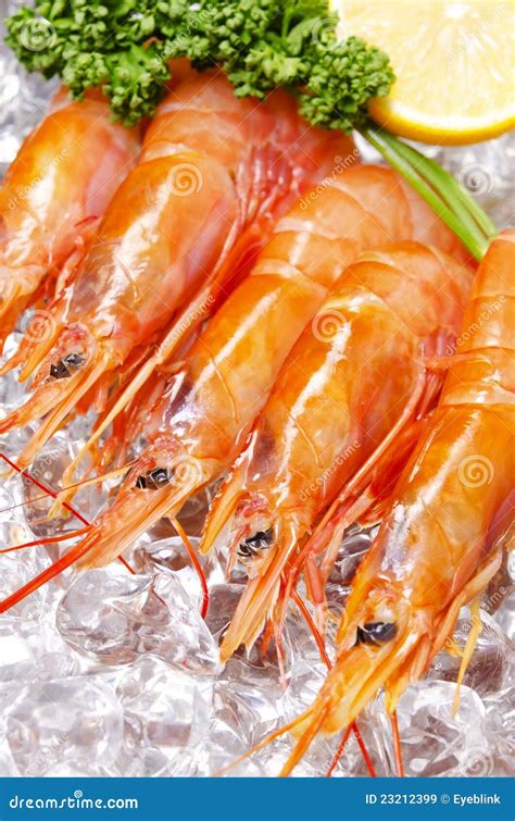 Argentine red shrimp stock image. Image of eating, seafood - 23212399