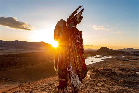 40 Gyro Nutrition Facts - Facts.net