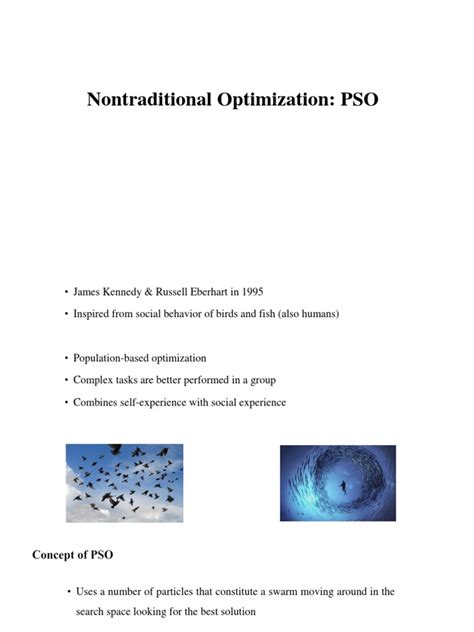 PSO Optimization 的图像结果