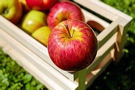 Image result for Pattern Examples Maths
