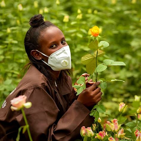 Opportunities in Rwanda's Nascent Flower Industry