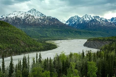 アラスカ 州 シャチ に対する画像結果