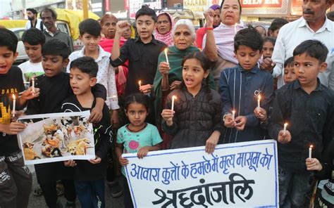 Bhopal: 21 Fall Prey To Dog Bites, Infant Mauled To Death In A Week BMC ...