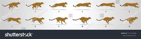 Image result for Run Cycle Animation Frames