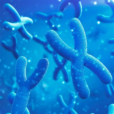 What the Y chromosome vanishing means for men - News - UNILAD Tech