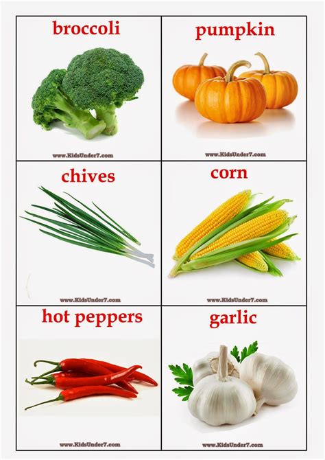 Food Flashcard 的图像结果