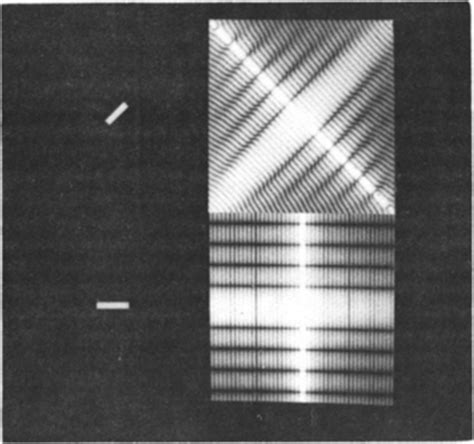 Image Rotation Tutorial 的图像结果