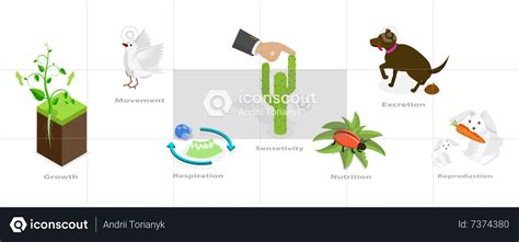 Biology Living Things 的图像结果