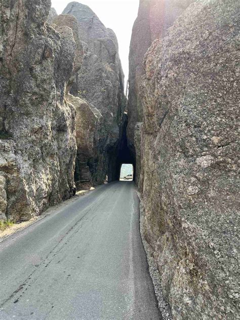 Day 2-Custer State Park-Wildlife Loop Rd-42.1 miles and 2814 feet of ...