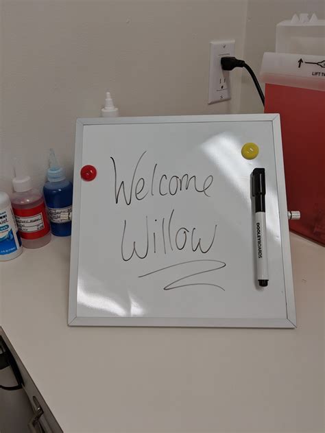 Media City Animal Hospital - 1509 W Burbank Blvd, Burbank, CA 91506 ...