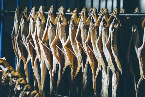 Image result for Fish Factory Tour