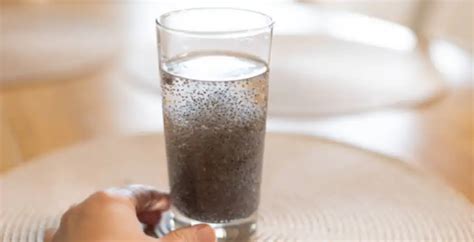 8 ways one can use chia seeds in drinks | EconomicTimes