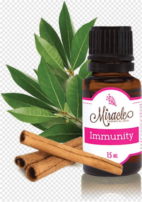 Image result for Android Play Store Icon