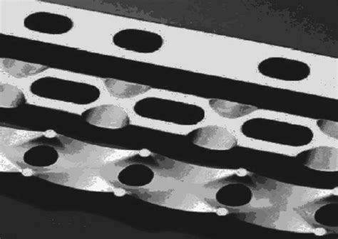 Compression Plate Fixation 的图像结果