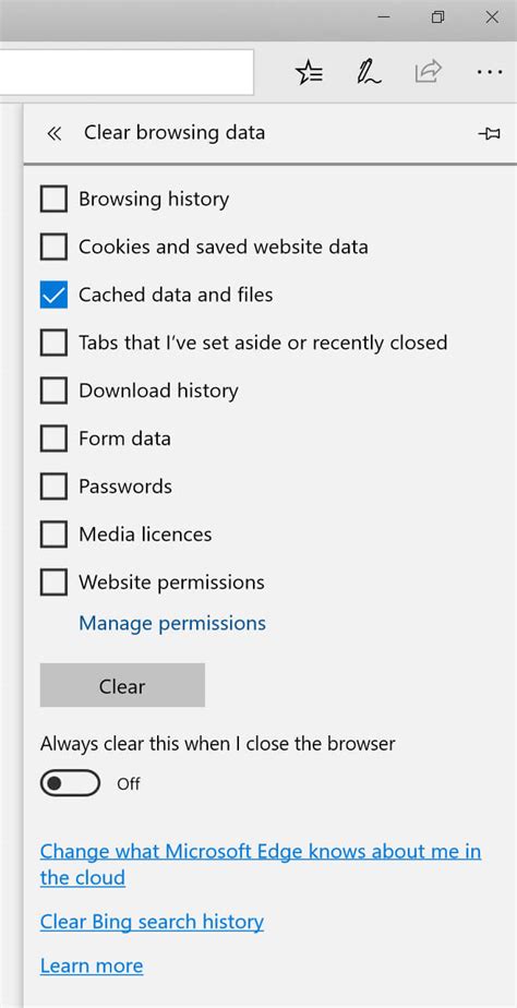 Clear File Explorer Cache 的图像结果
