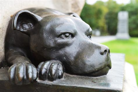Gettysburg Battlefield | Unusual Facts about Gettysburg