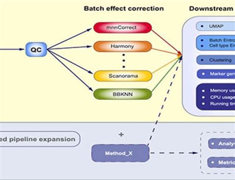 Image result for RNA-Seq Scripts with Sbatch