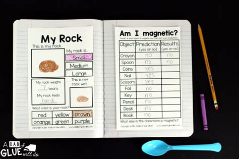 Image result for Science Notebook