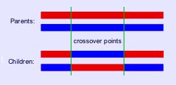 Image result for Crossover Table Genetic Algorithm
