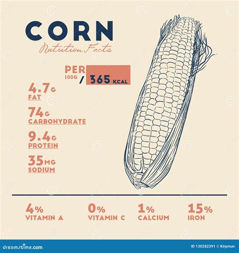 Health benefits of Corn . stock vector. Illustration of cuisine - 130282391