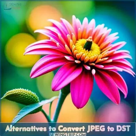 Image result for How to Make DST File