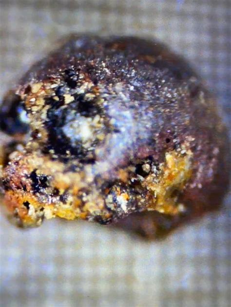 Alien Material 的图像结果