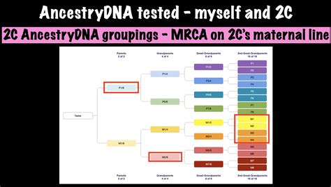 Image result for AncestryDNA Using Grouping