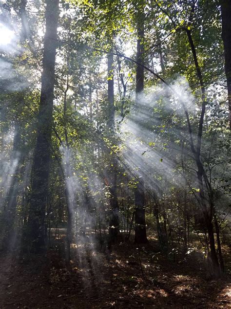 Pinewoods Campground Wisconsin: Camping Reservations & Amenities