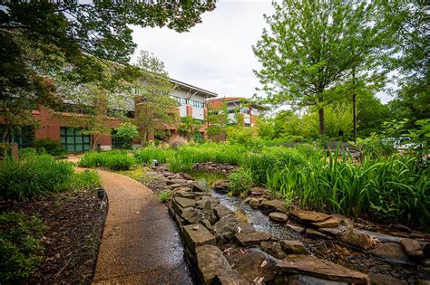 Thompson Hall | College of Forest Resources | Mississippi State University